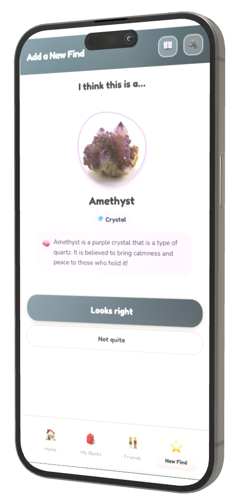 RockBuddy app on iPhone
